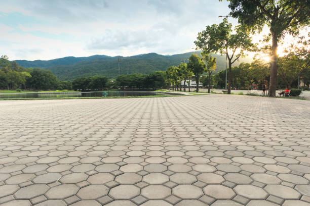 Best Affordable Driveway Pavers  in Vega, TX